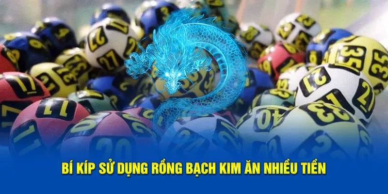 Bí kíp sử dụng rồng bạch kim ăn nhiều tiền