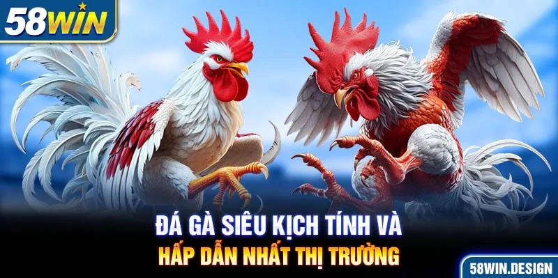 Đá gà siêu kịch tính và hấp dẫn nhất thị trường